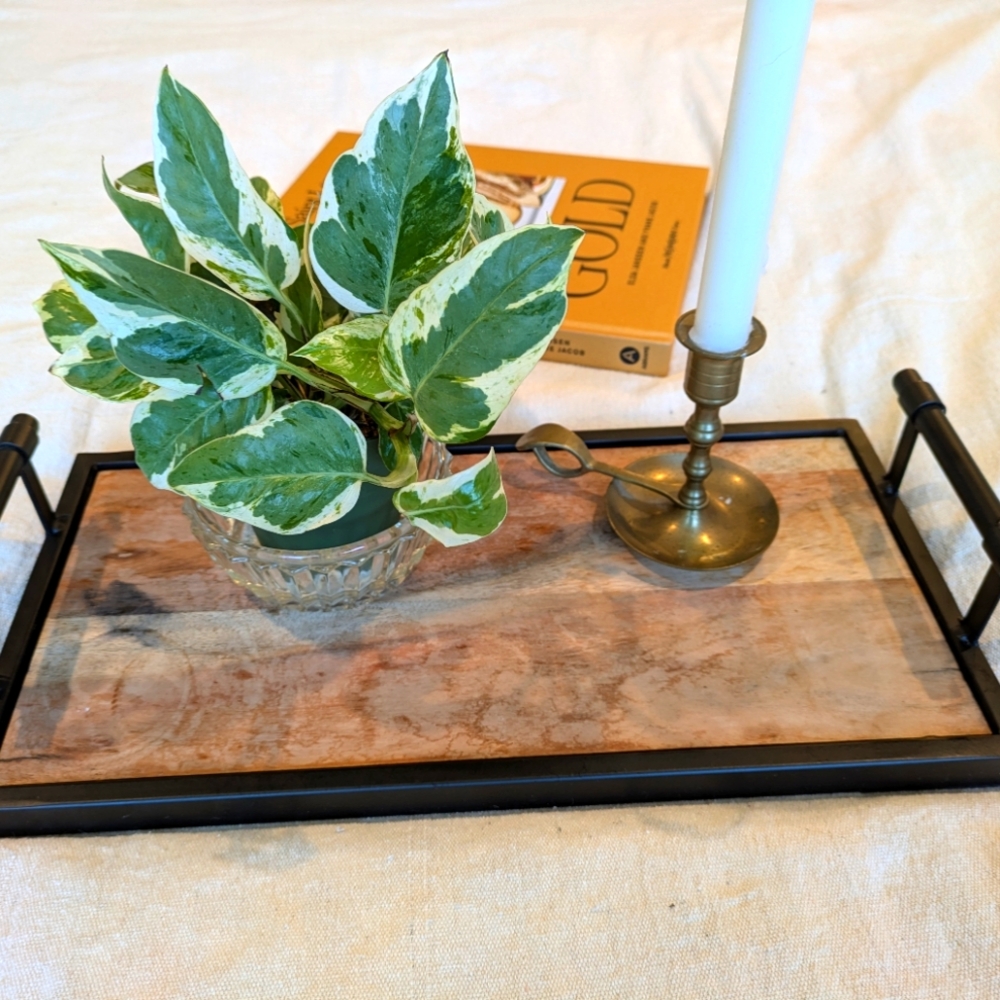 ⭐ Hearth & Hand Tray